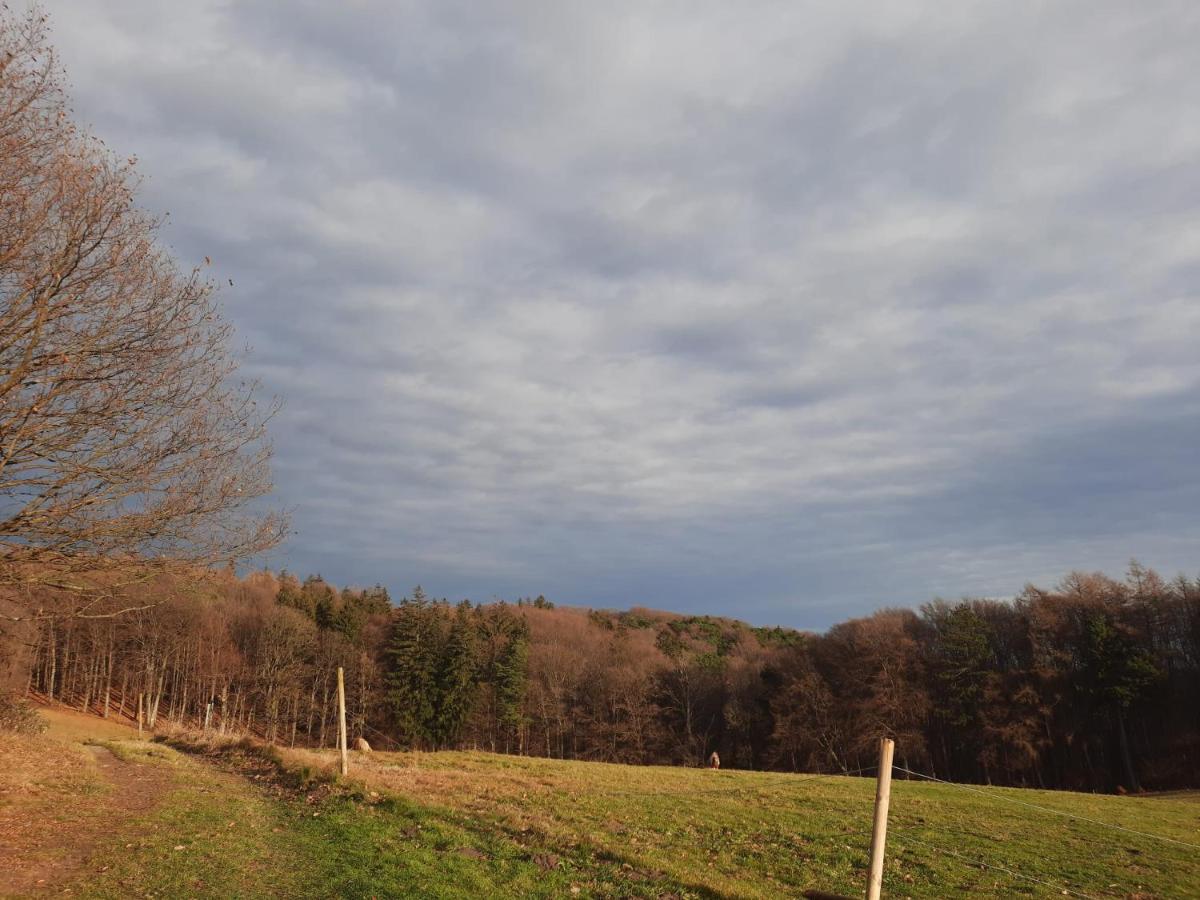 Erholungsheim Im Wienerwald Irenental Εξωτερικό φωτογραφία