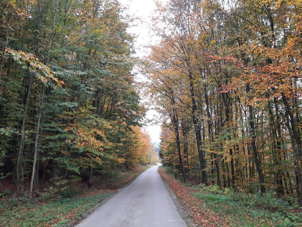 Erholungsheim Im Wienerwald Irenental Εξωτερικό φωτογραφία